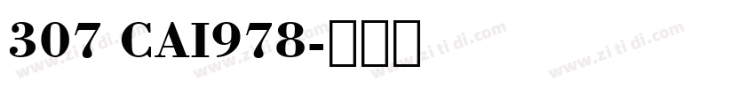 307 CAI978字体转换